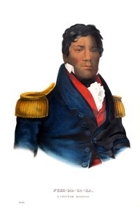 Pushmataha, en Choctaw-kriger