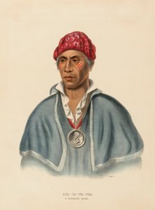 QUA-TA-WA-PLA. A SHAWANOE CHIEF fra Historien om indianerstammerne i Nordamerika af Charles Bird King
