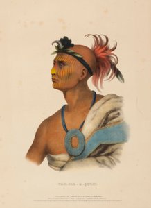 TAH-COL-O-QUOIT, fra Historien om indianerstammerne i Nordamerika af Charles Bird King