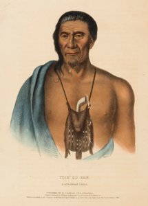 TISH-CO-HAN. A DELAWARE CHIEF, fra History of the Indian Tribes of North America. af Charles Bird King