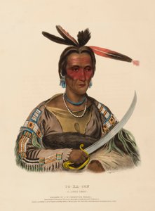 TO-KA-CON. A SIOUX CHIEF, fra History of the Indian Tribes of North America. af Charles Bird King