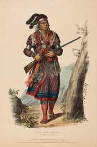 TUKO-SEE-MATHLA. A SEMINOLE CHIEF, fra History of the Indian Tribes of North America. af Charles Bird King