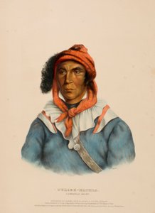 TULCEE-MATHLA. A SEMINOLE CHIEF, fra History of the Indian Tribesof North America. af Charles Bird King
