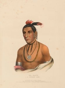 WA-KAWN, EN WINNEBAGO-HØFDE, fra Historien om indianerstammerne i Nordamerika af Charles Bird King