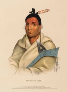 WAA-TOP-E-NOT, fra Historien om indianerstammerne i Nordamerika af Charles Bird King