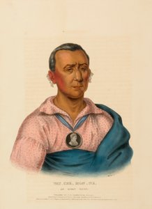 WAT-CHE-MON-NE, EN IOWAY-HØFDE, fra Historien om indianerstammerne i Nordamerika af Charles Bird King