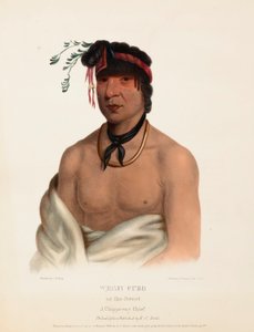 WESH-CUBB. A CHIPPEWAY CHIEF, Fra Historien om indianerstammerne i Nordamerika af Charles Bird King
