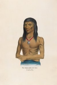  af Charles Bird King