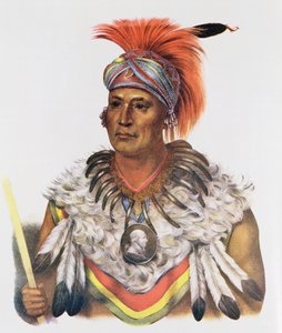 Wapella or the Prince Chief of the Foxes, 1837, illustration fra 