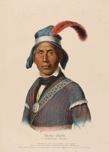 YAHA-HAJO. A SEMINOLE CHIEF, fra History of the Indian Tribes of North America. af Charles Bird King