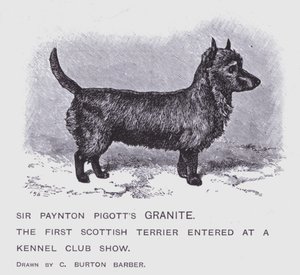 Sir Paynton Pigotts granit (litho) af Charles Burton (after) Barber