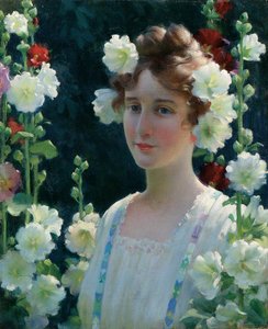 Blandt stokroserne