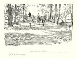 Hendes enorme frygt (litografi) af Charles Dana Gibson