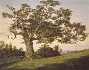 The Charter Oak af Charles de Wolf Brownell