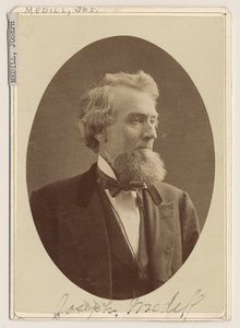 Portræt af Joseph Medill, ca. 1876 af Charles Delevan Mosher