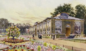 London Zoo: Monkey House (farve litho)