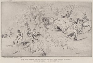 Opstanden i Rhodesia af Charles Edwin Fripp