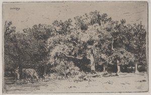 Et hjørne af skoven Fontainebleau (radering) af Charles Emile Jacque