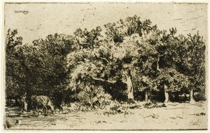 En del af skoven Fontainebleau af Charles Emile Jacque
