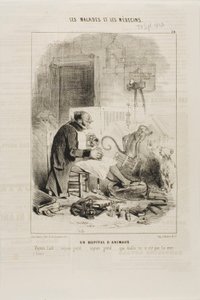 Et dyrehospital (plade 20) af Charles Emile Jacque