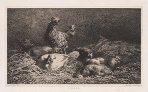 Høns af Charles Emile Jacque