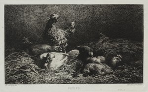 Høns af Charles Emile Jacque