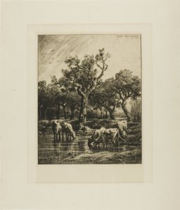 Køer på et vandingssted af Charles Emile Jacque