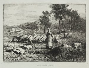 Svinebesætning, 1868. af Charles Emile Jacque