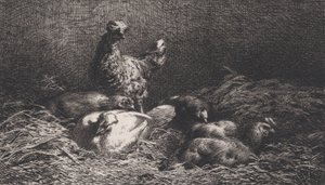 Høns, 1867.
