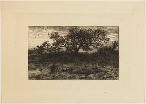 Print af Charles Emile Jacque