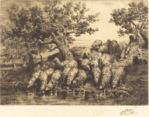 Får ved Vandingspladsen af Charles Emile Jacque