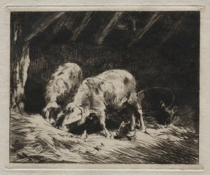 To Svin af Charles Emile Jacque