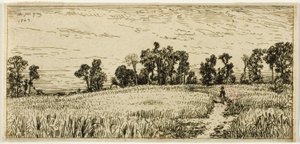 Hvedemark af Charles Emile Jacque