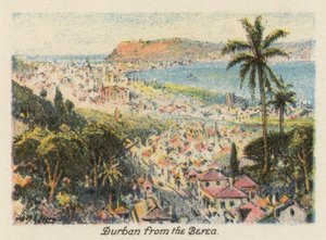 Sydafrika: Durban fra Berea (farvelitografi) af Charles Ernest Peers
