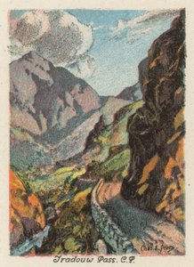 Sydafrika: Tradouw Pass, CP (farvelitografi) af Charles Ernest Peers