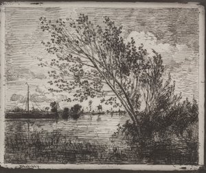 A Cluster of Alders, originalt aftryk 1862, trykt i 1921. af Charles Francois Daubigny