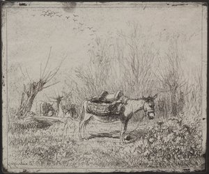 Et æsel i marken af Charles Francois Daubigny