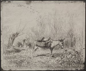 Et æsel i marken, originalt aftryk 1862, trykt i 1921. af Charles Francois Daubigny