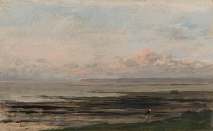 Havet ved lavvande