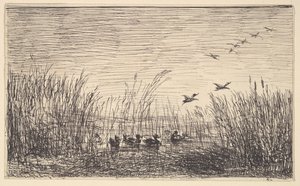Ducks in the Marshes, [1862], genoptrykt 1921. af Charles Francois Daubigny