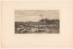 Landskab med flok får Parc à Moutons, le matin (titel på objekt) af Charles Francois Daubigny