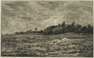 Pre des Graves i Villerville (Calvados) af Charles Francois Daubigny