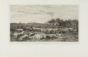 Eng med får af Charles Francois Daubigny