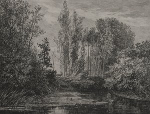Hjorte i vandkanten af Charles Francois Daubigny
