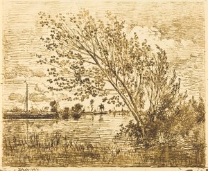 Stand of Alders af Charles Francois Daubigny