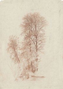 Undersøgelse af to slanke og nogle mindre træer i blade af Charles Francois Daubigny