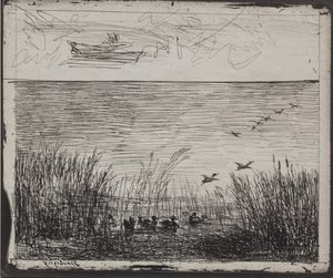 Sump med ænder af Charles Francois Daubigny