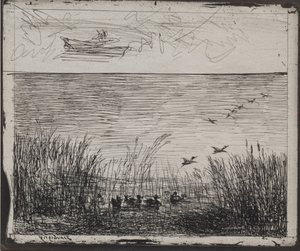 Sump med ænder, originalt aftryk 1862, trykt i 1921. af Charles Francois Daubigny