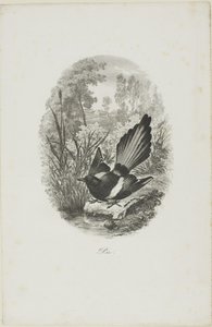 Skaden af Charles Francois Daubigny