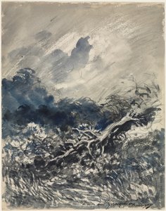 Egetræet og røret, ca. 1873 (blå og sort vask) af Charles Francois Daubigny